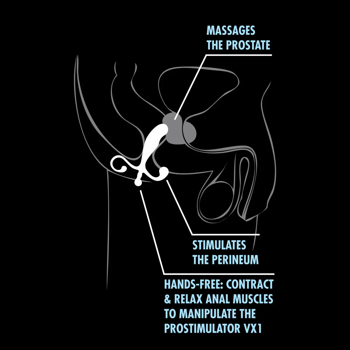Anal Adventures Prostate Stimulator Black 5-Inch Anal Plug - Image 2