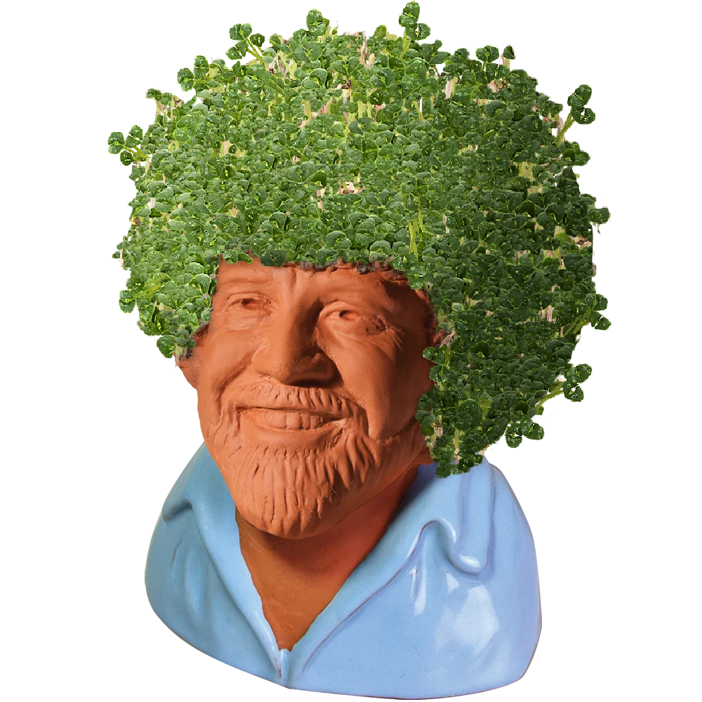 BOB ROSS CHIA PET (BLUE SHIRT) - Image 2