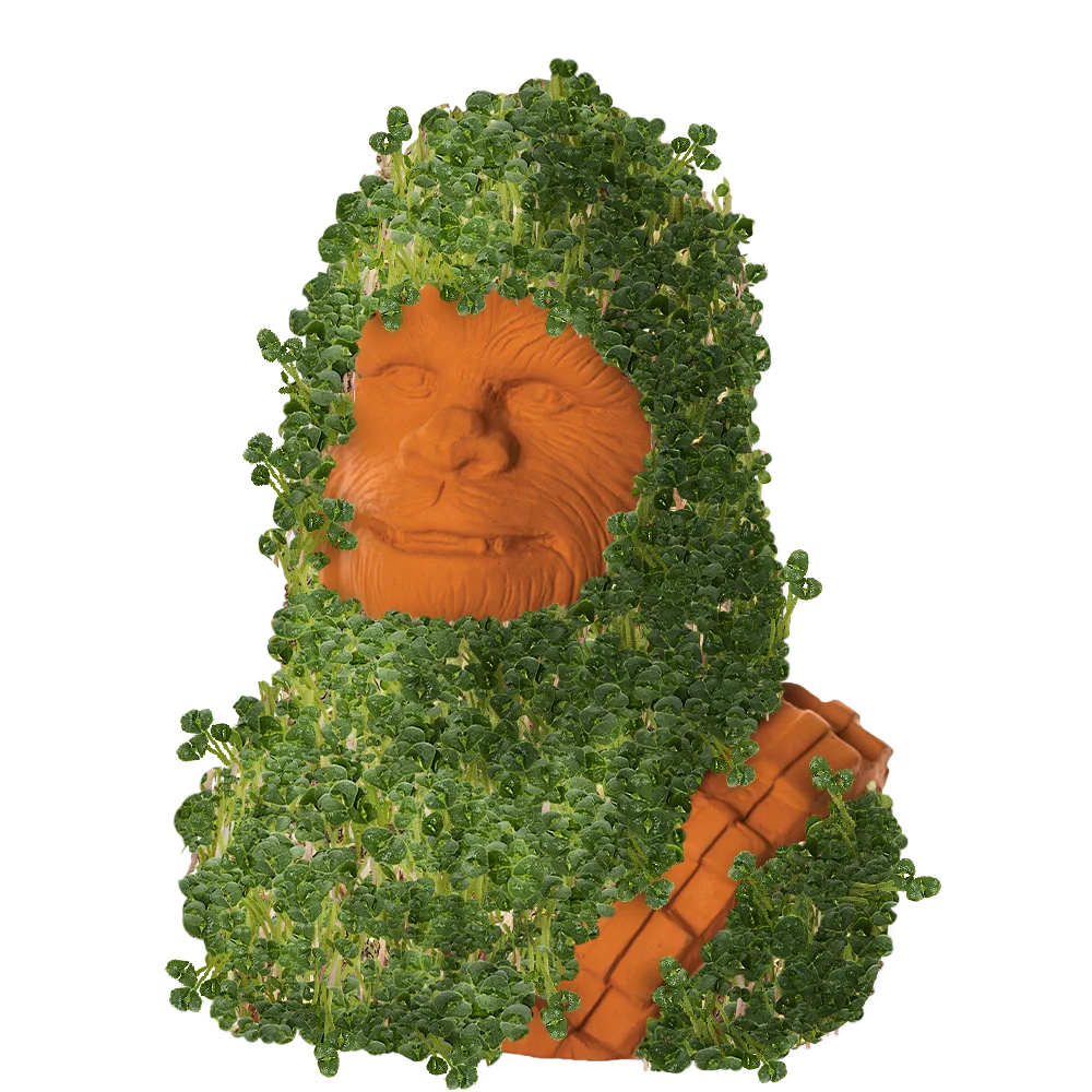 CHEWBACCA CHIA PET - Image 2