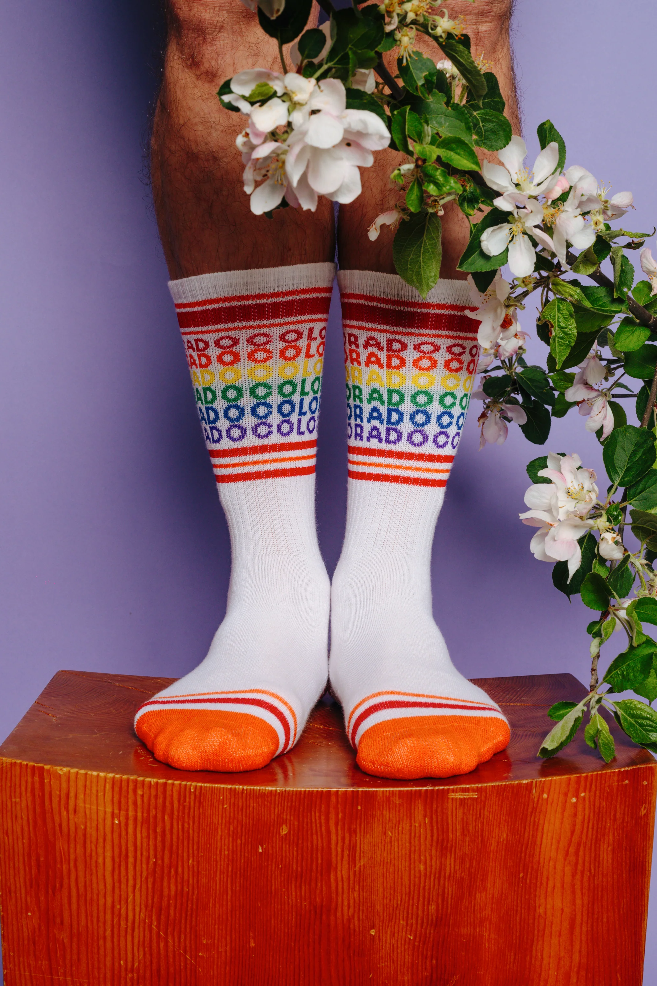 COLORADO GEO-GAY SOCKS - Image 2