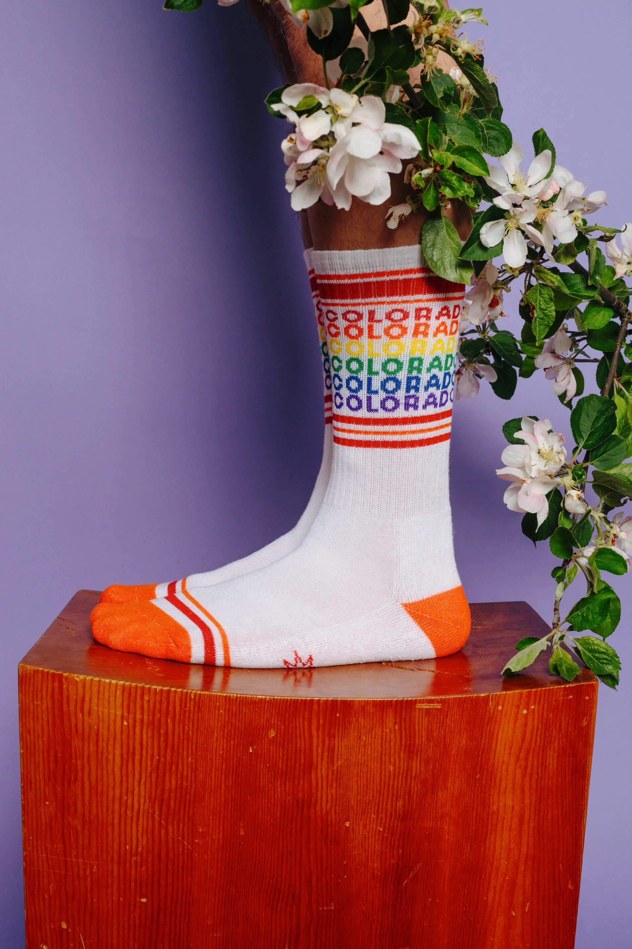 COLORADO GEO-GAY SOCKS - Image 3