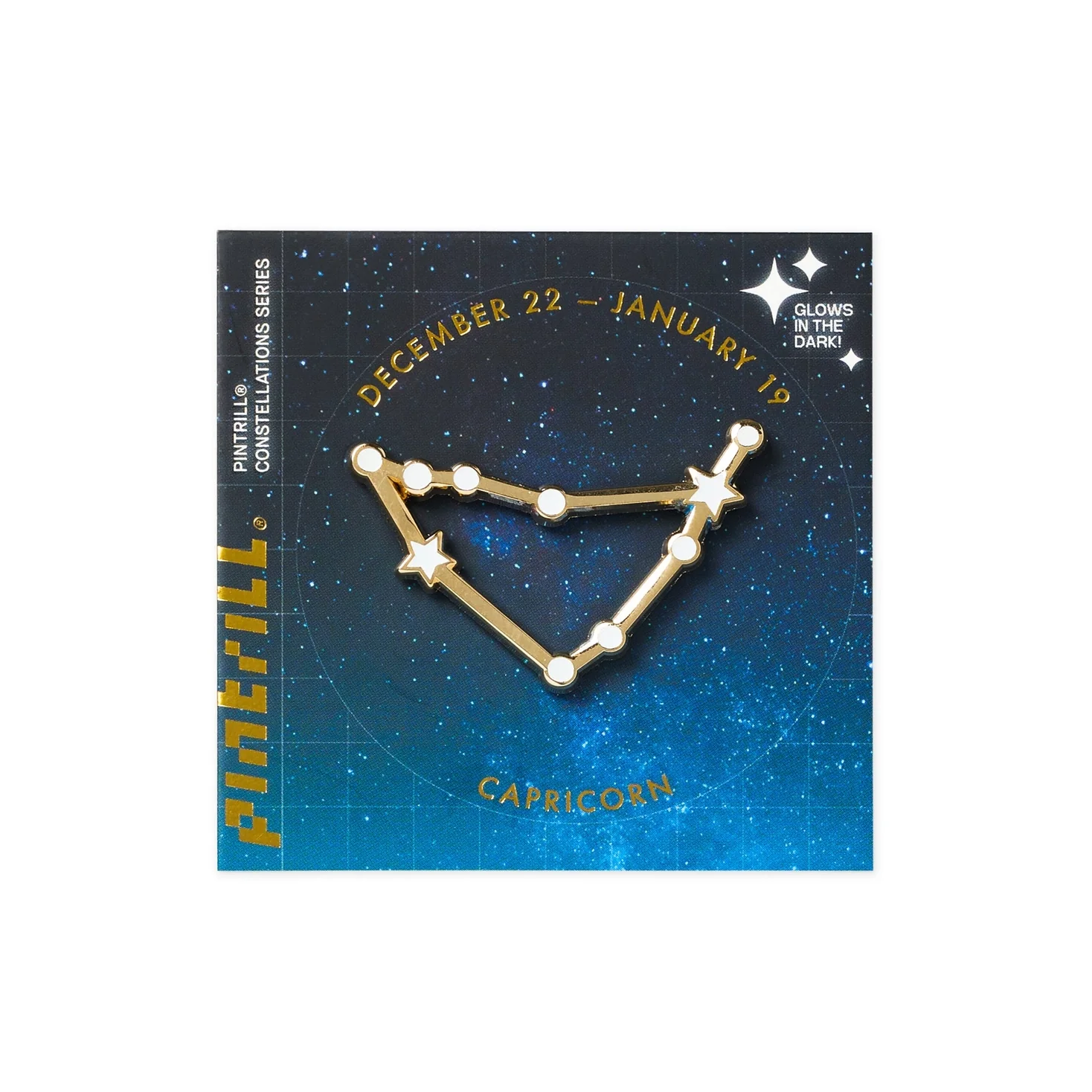 Constellations Capricorn Pin - Image 2