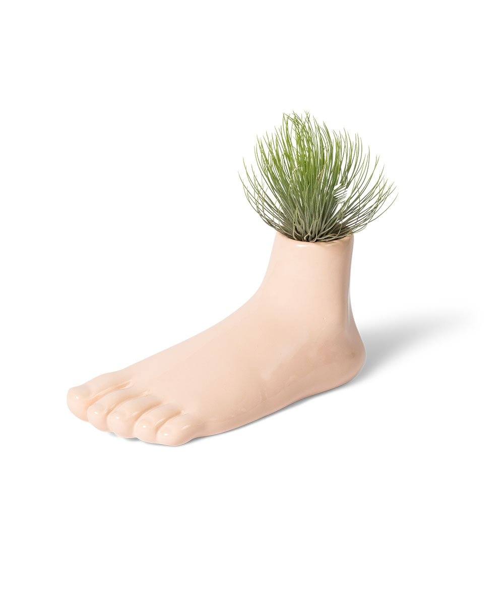 Curious Foot-Shaped Pedestal by David Shrigley x Third Drawer Down - Image 7
