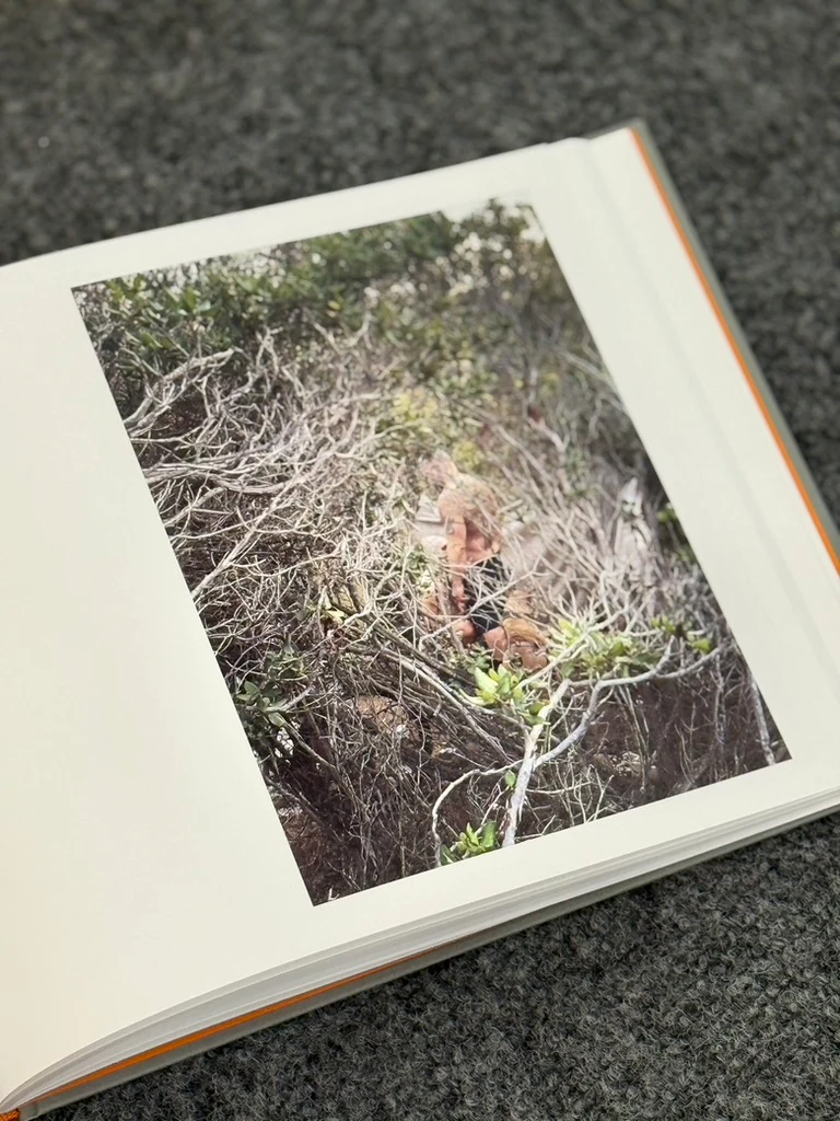 Daniel Case: Outside Sex - Image 4
