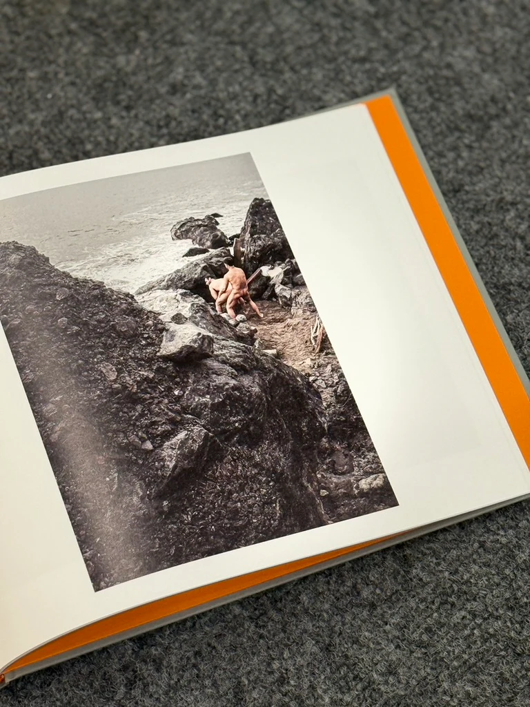Daniel Case: Outside Sex - Image 5