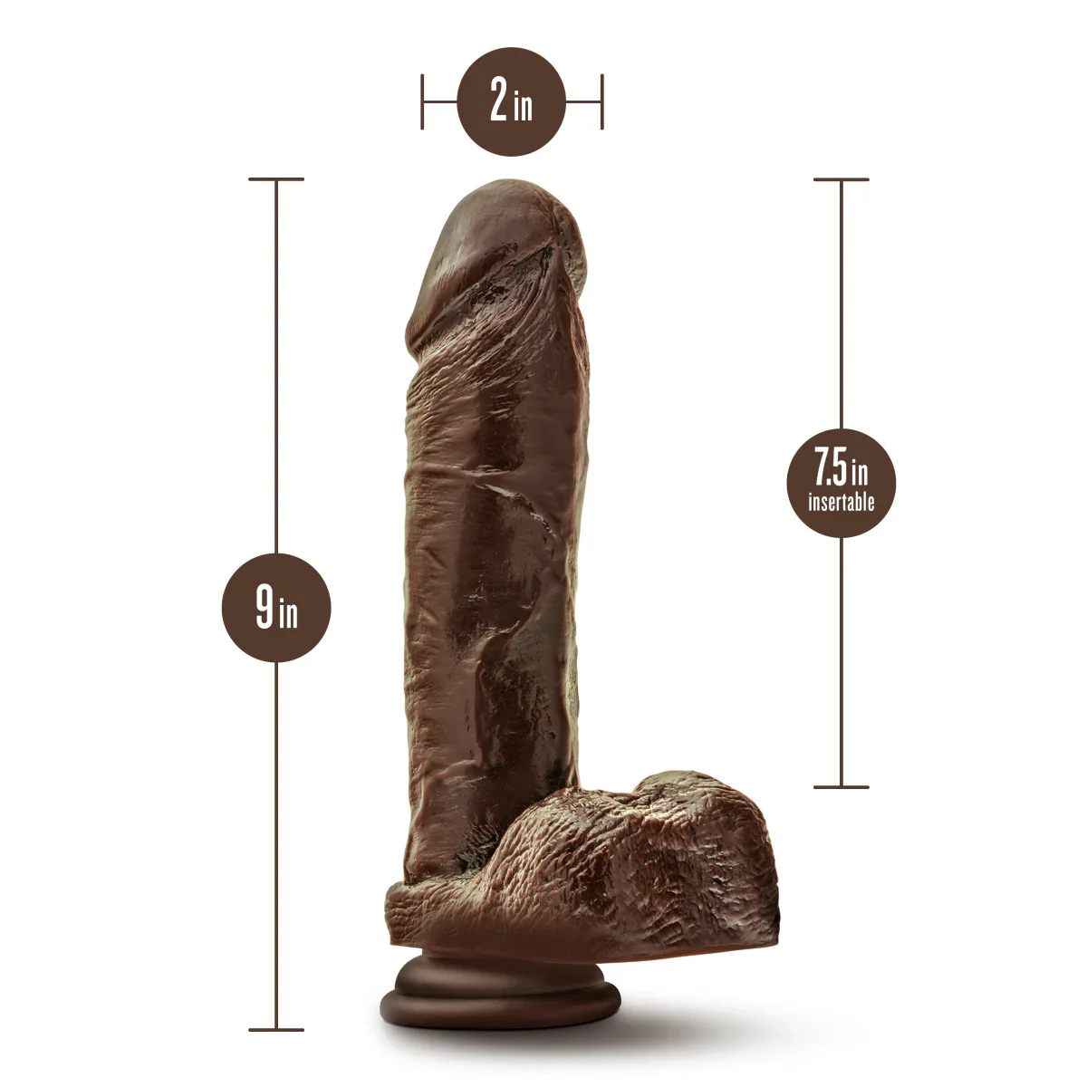 Dr. Skin Plus Realistic Chocolate 9-Inch Long Dildo - Image 2