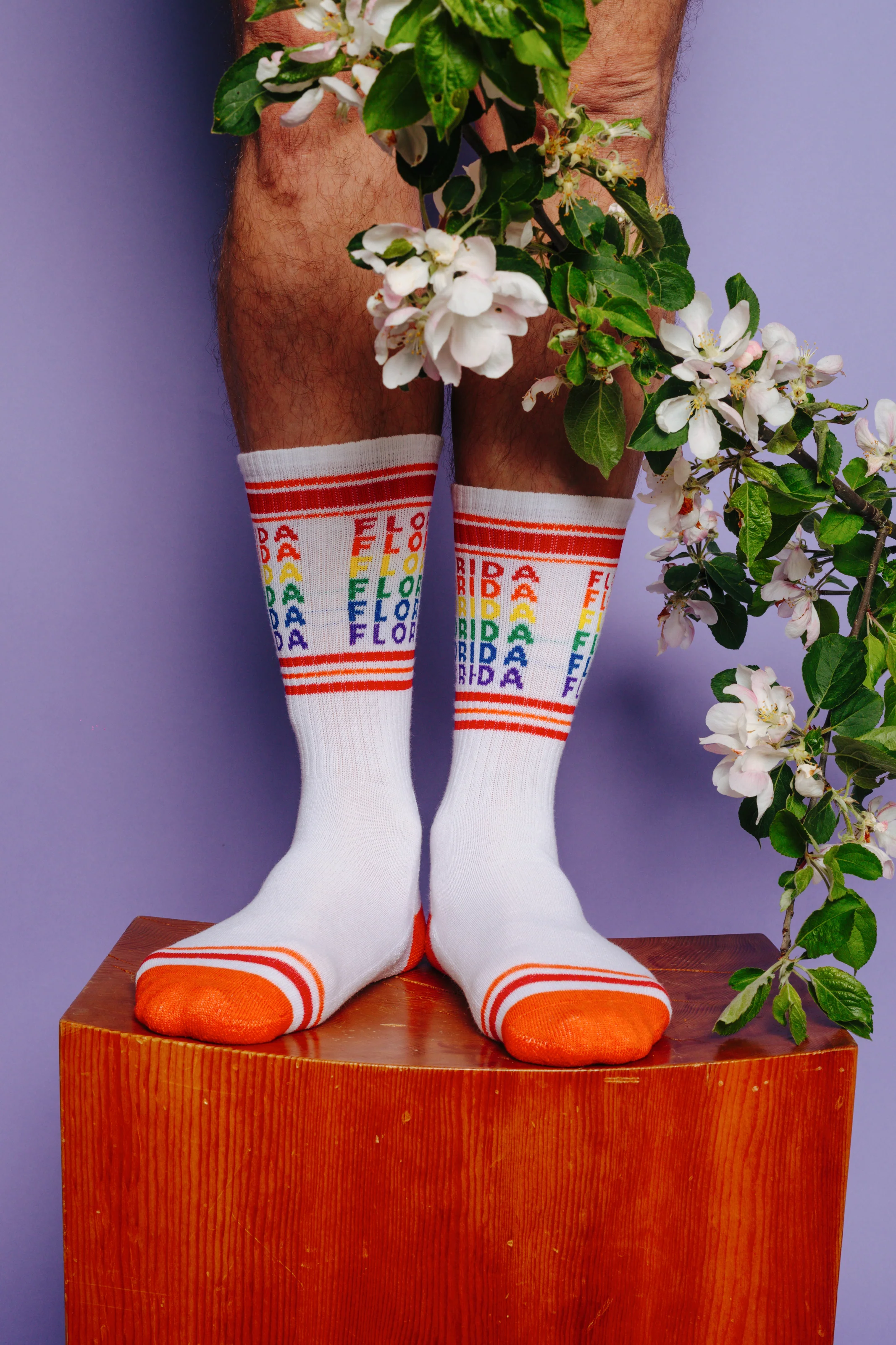 FLORIDA GEO-GAY SOCKS - Image 3