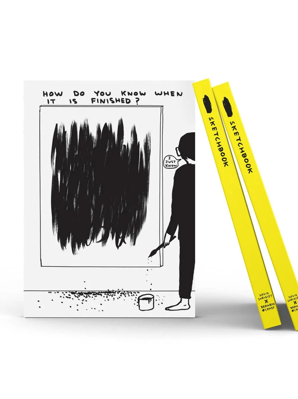 How Do You Know Sketchbook by David Shrigley - Image 2
