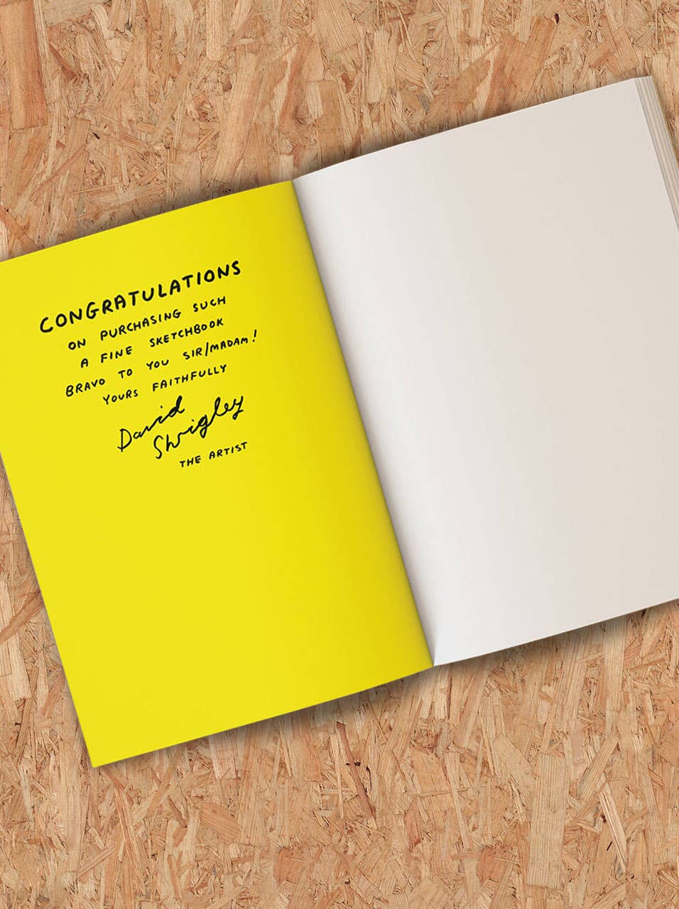 Terrible Artwork Sketchbook by David Shrigley - Image 3