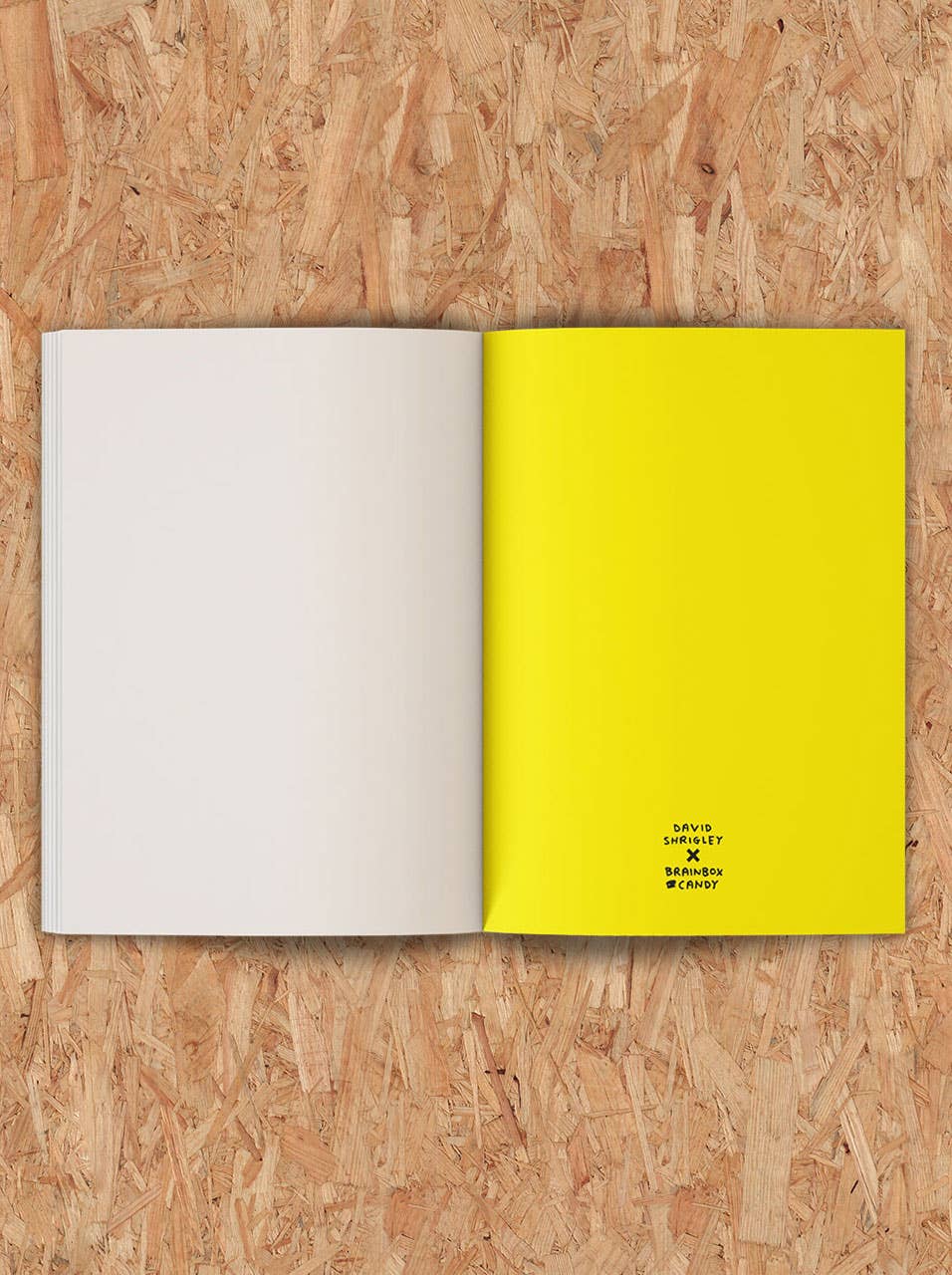 Terrible Artwork Sketchbook by David Shrigley - Image 4
