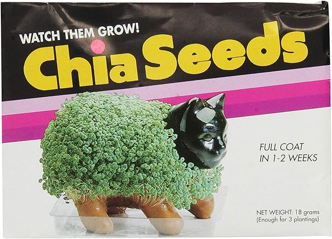 GOLDEN GIRLS CHIA PET DOROTHY - Image 4
