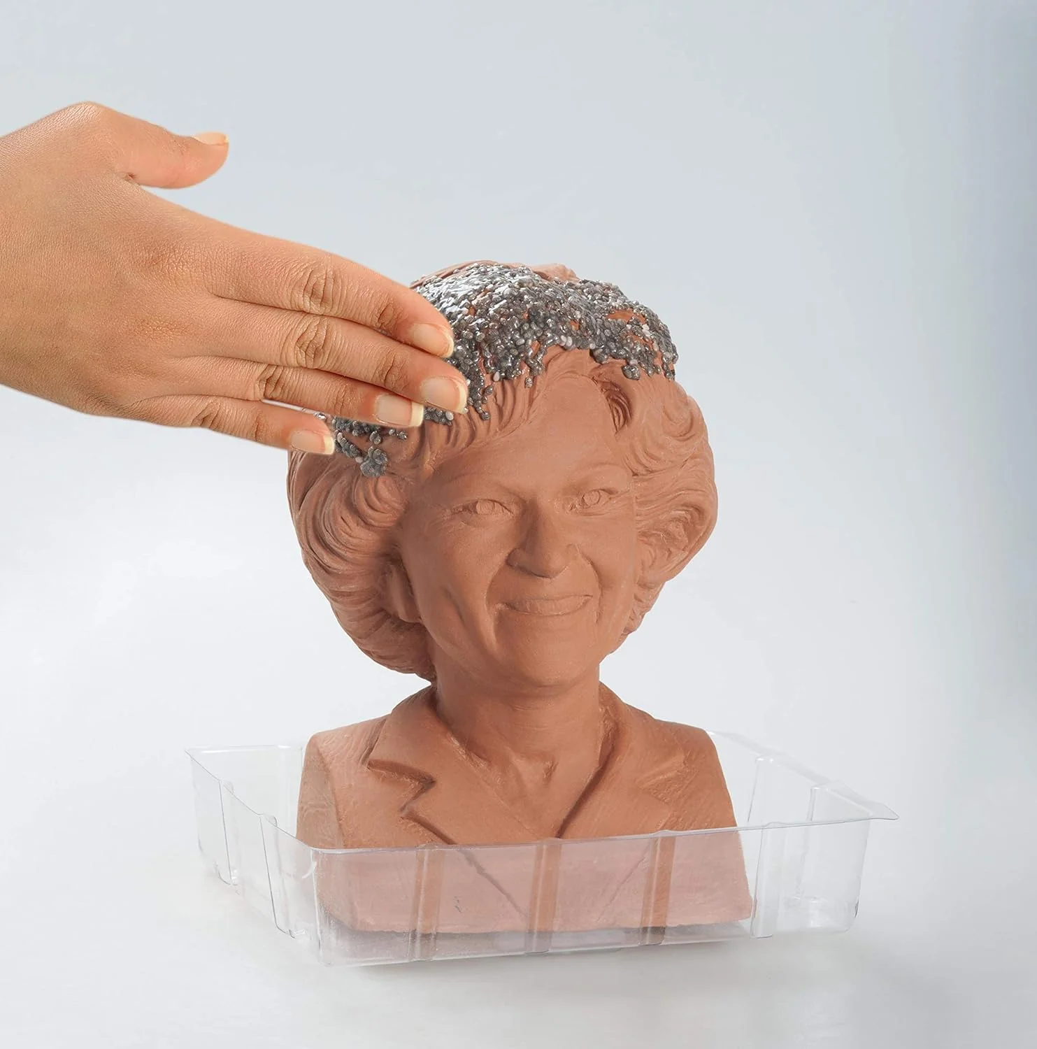 GOLDEN GIRLS CHIA PET ROSE - Image 4