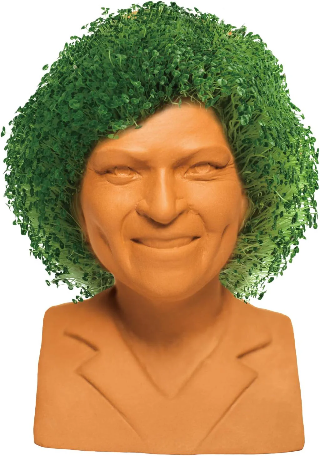 GOLDEN GIRLS CHIA PET ROSE - Image 6