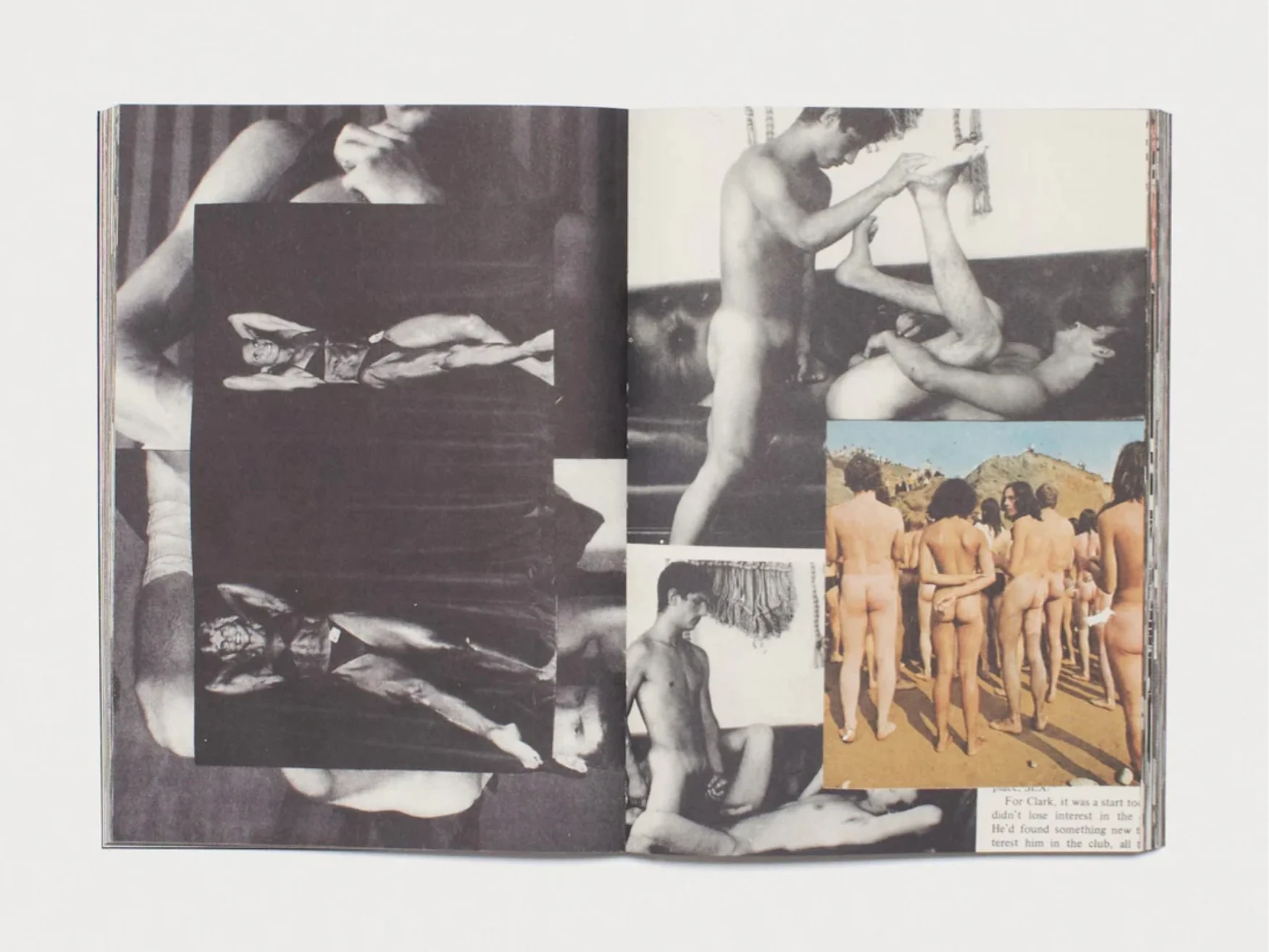 GRAY WIELEBINSKI : PACK - Image 4