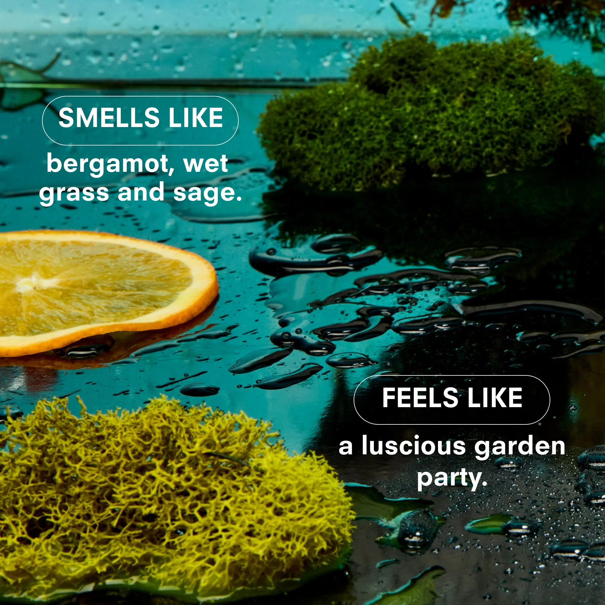 HERBACEOUS by BOY SMELLS - Image 3