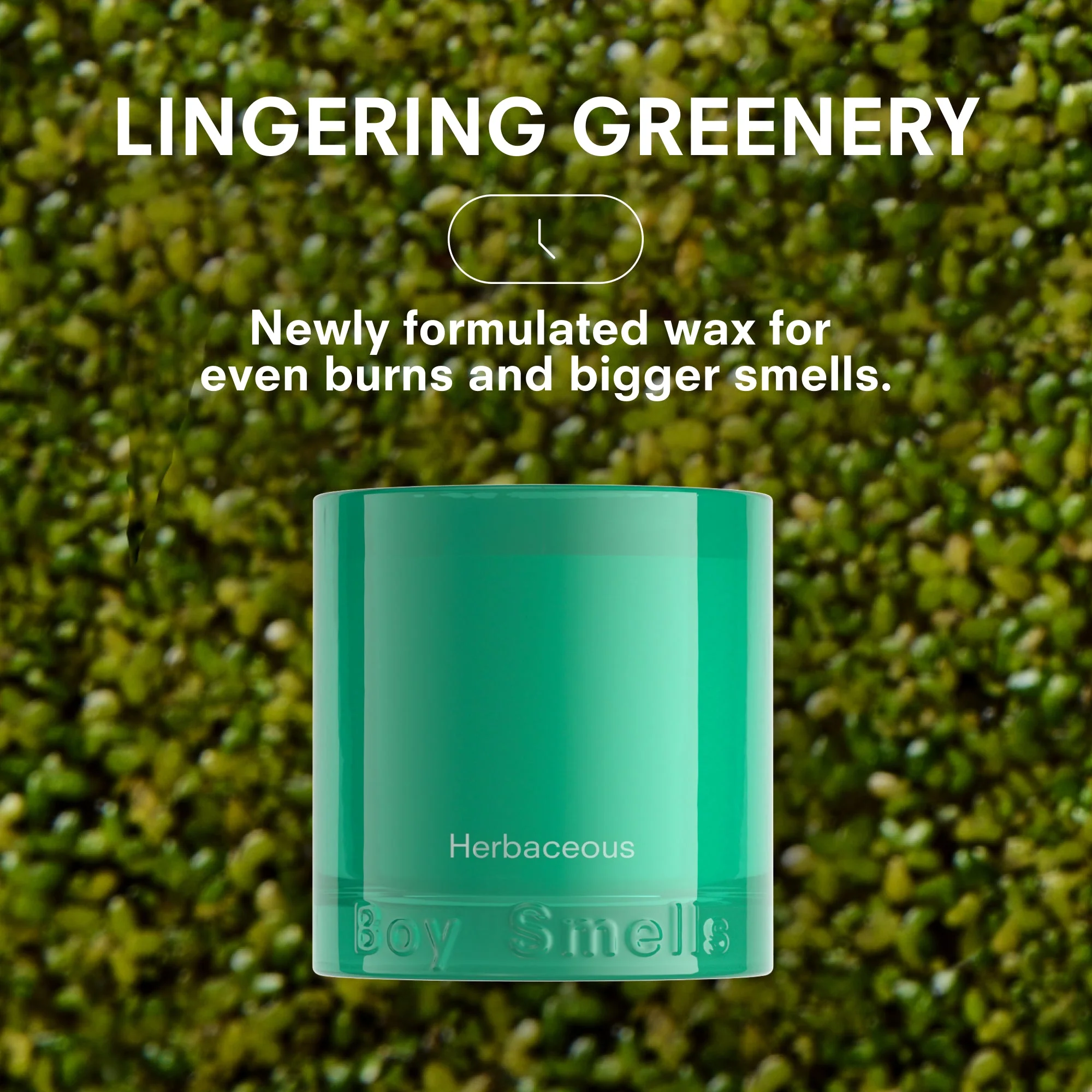 HERBACEOUS by BOY SMELLS - Image 4