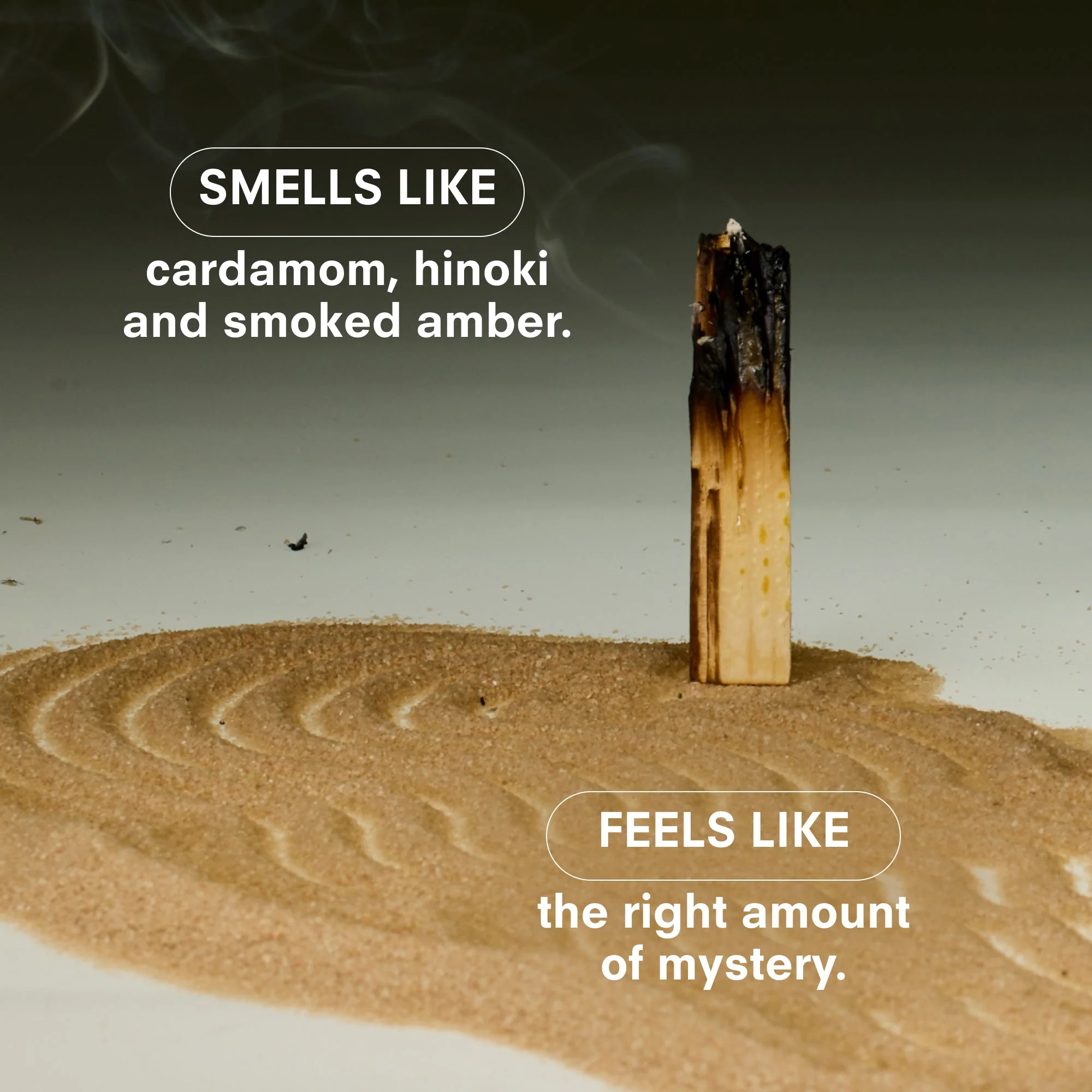 HINOKI FANTÔME Fragrance by Boy Smells - Image 4