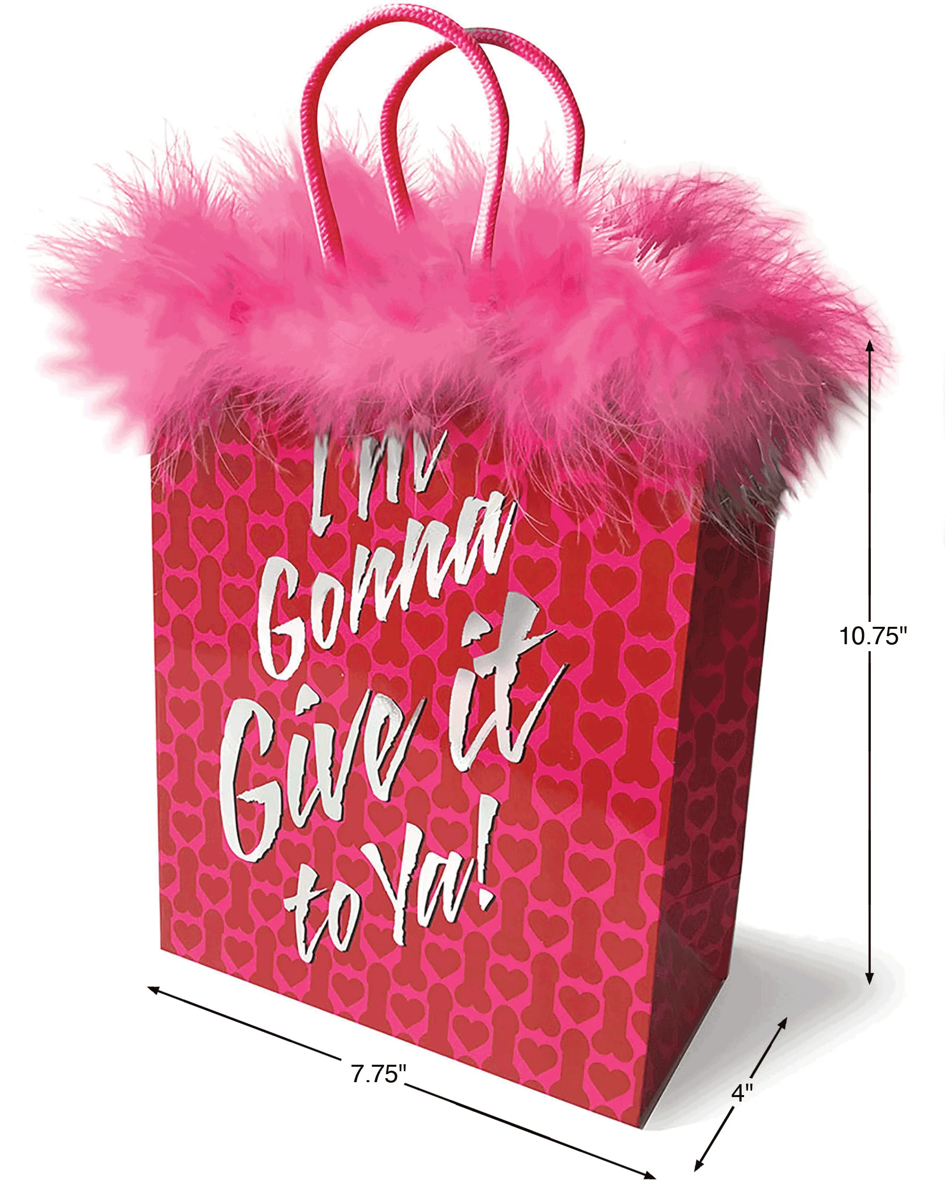 I’m Going to Give it to Ya! – Gift Bag - Image 2