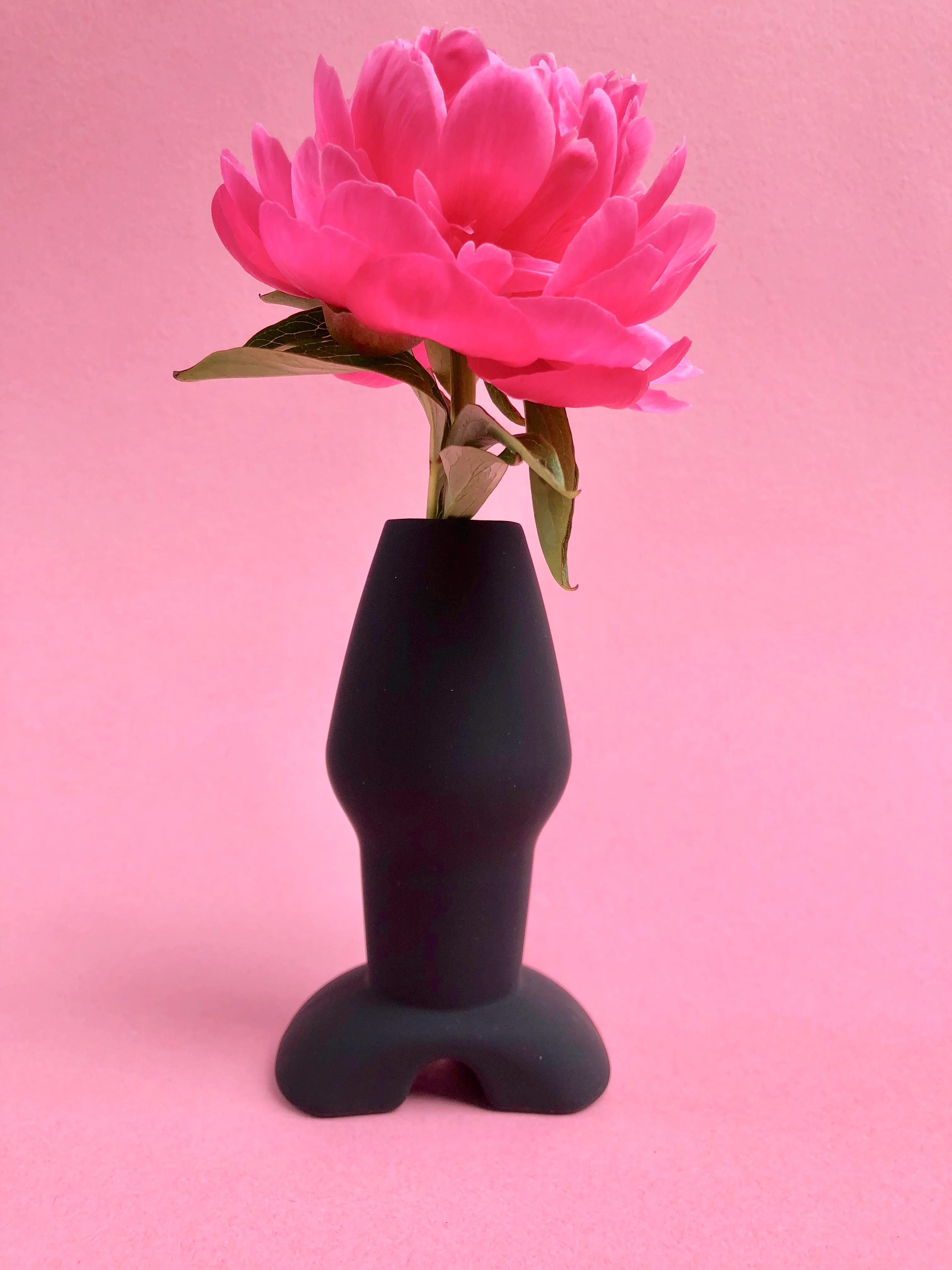 Invasion Hollow Silicone Anal Plugs - Image 2