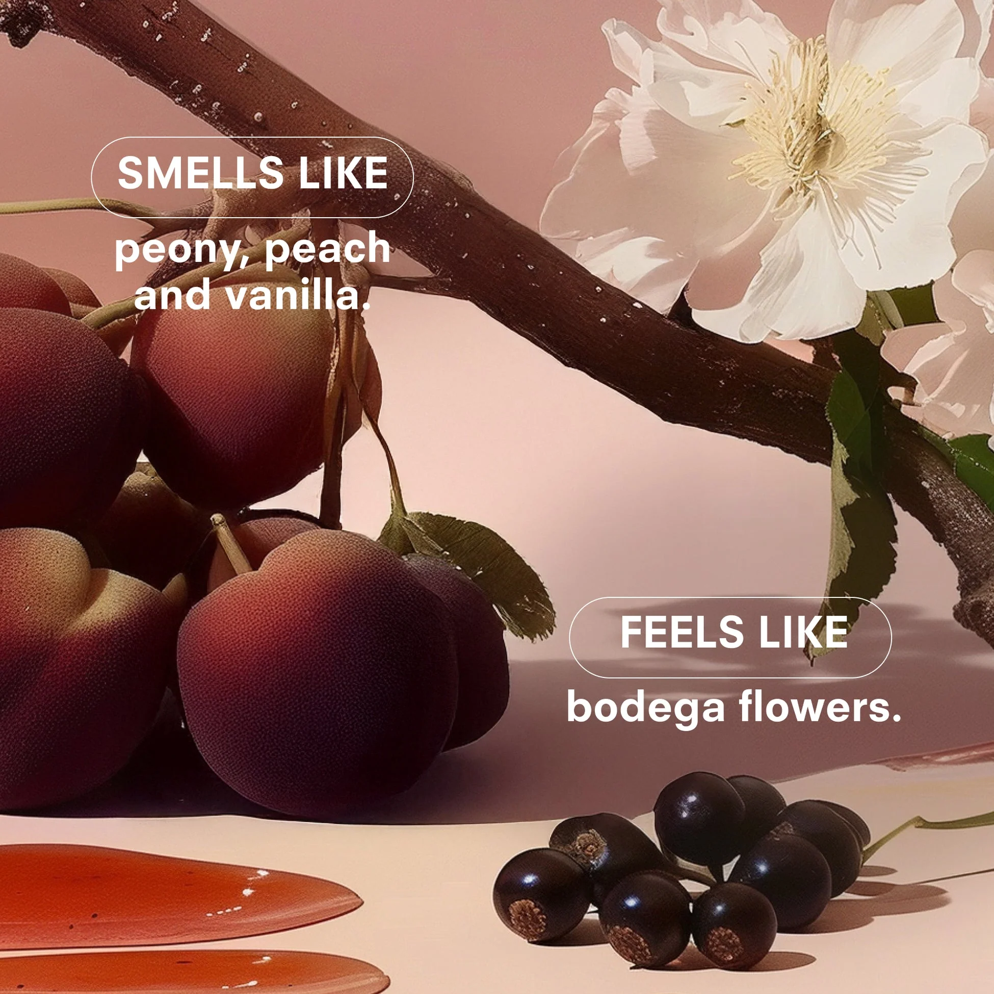 LES by BOY SMELLS - Image 4