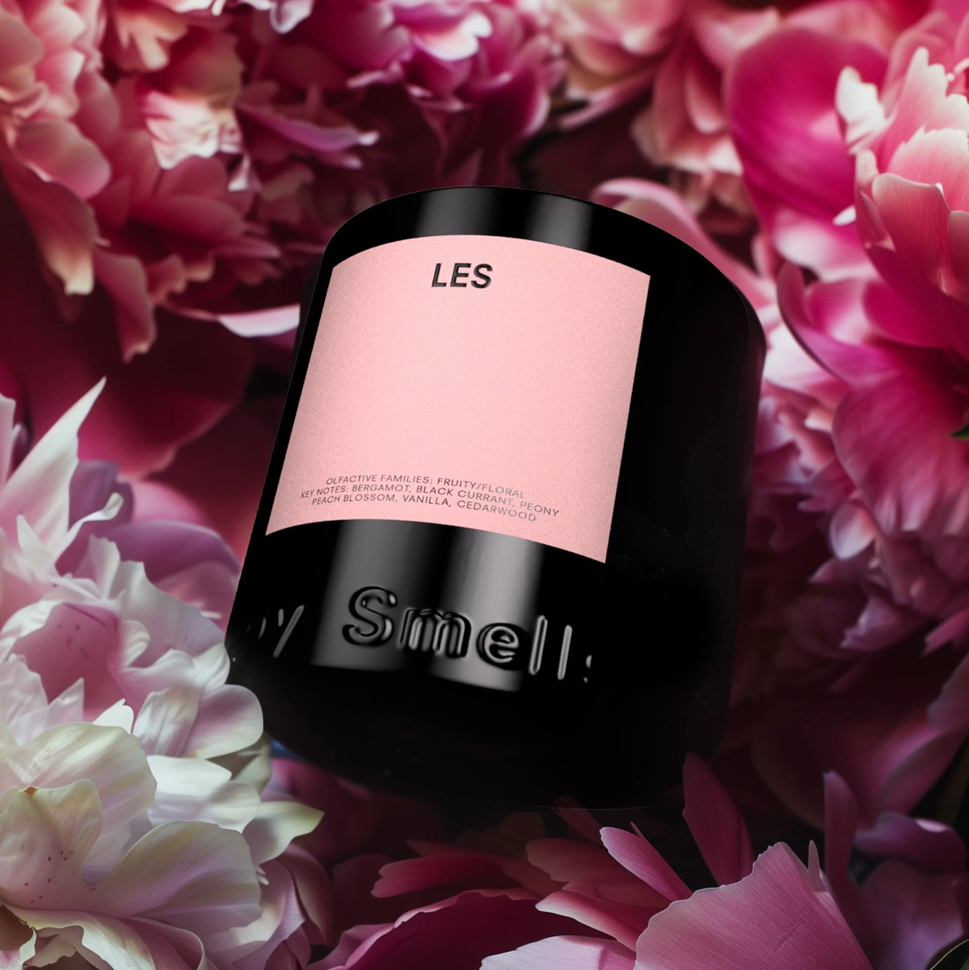 LES by BOY SMELLS - Image 7