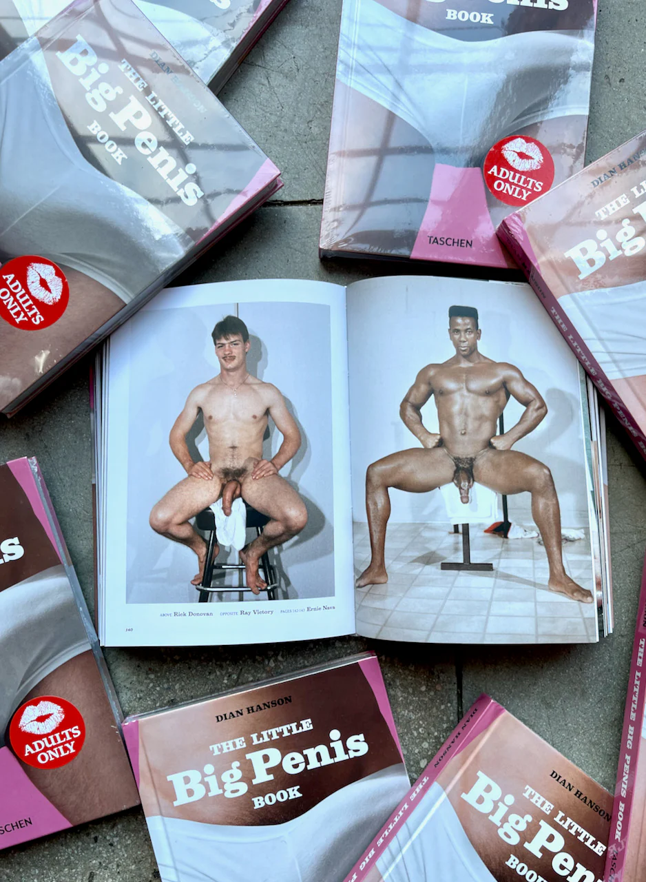 The Little Big Penis Book - Image 20