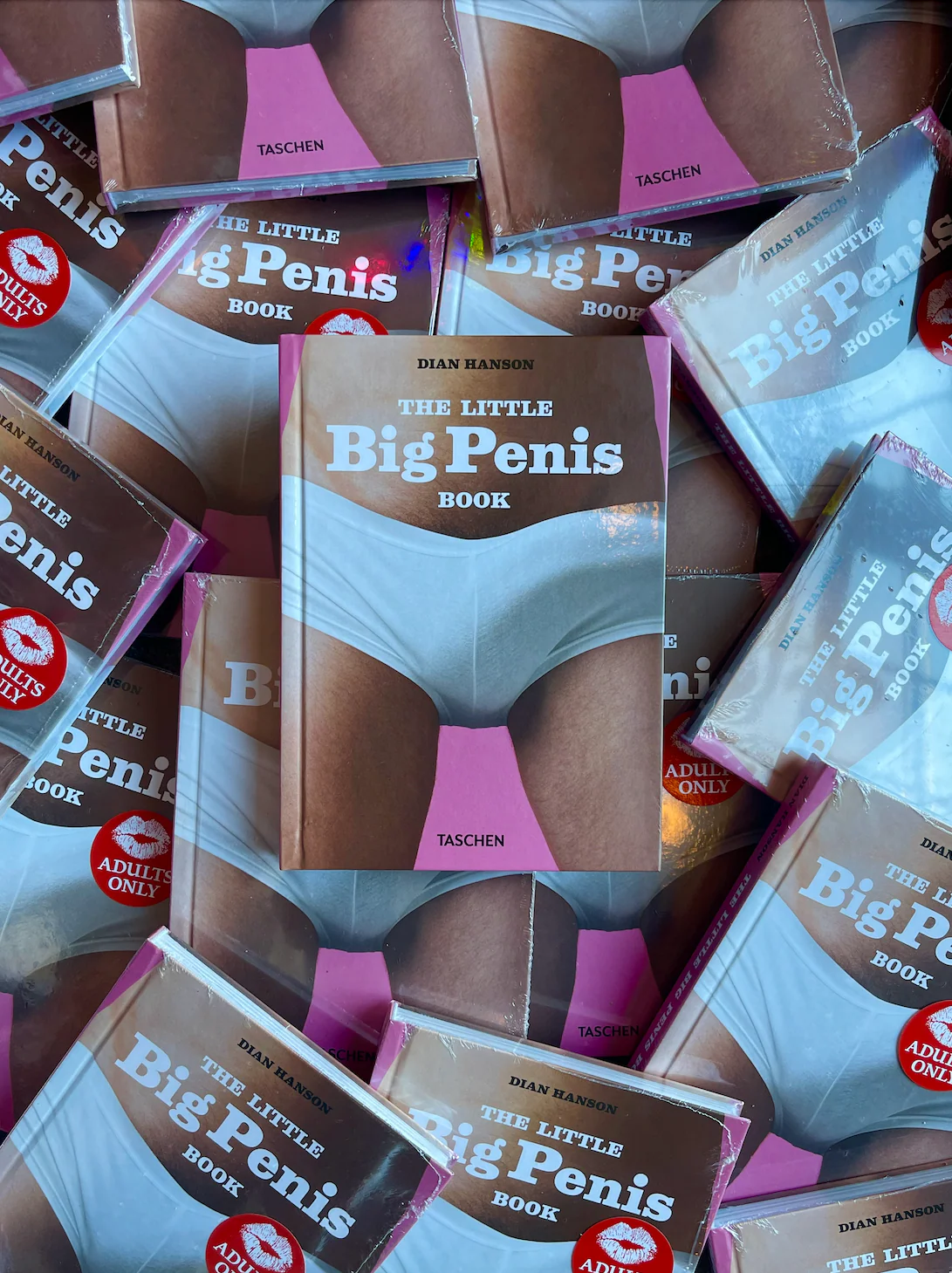 The Little Big Penis Book - Image 4
