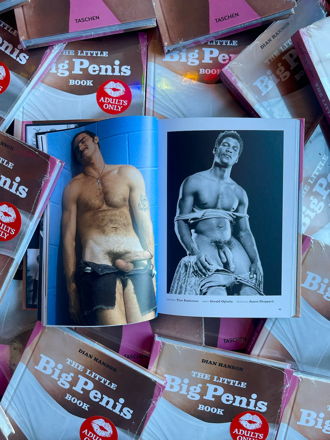 The Little Big Penis Book - Image 6
