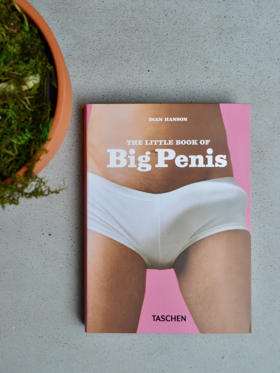 The Little Big Penis Book - Image 9