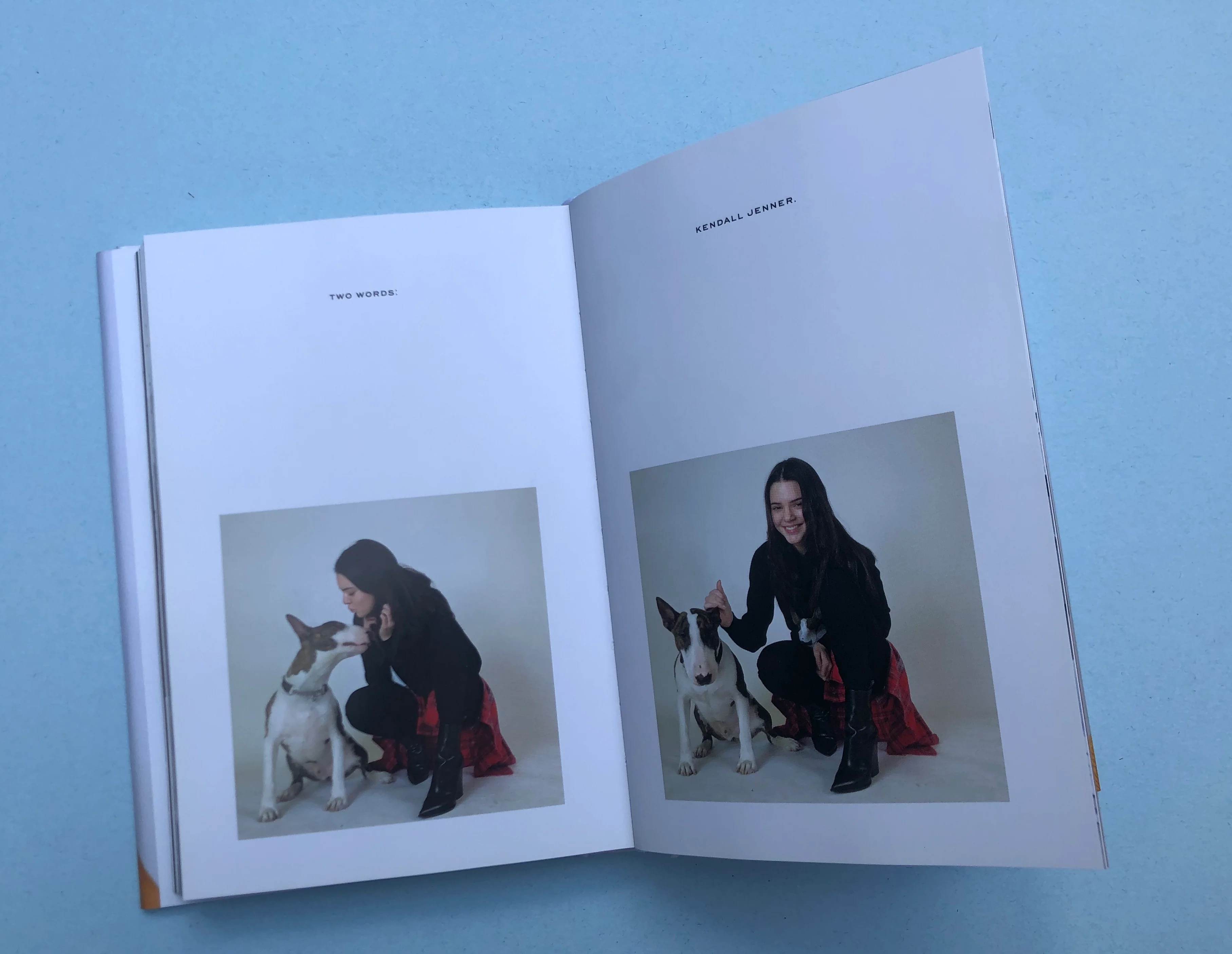 Neville Jacobs: I'm Marc's Dog - Image 5