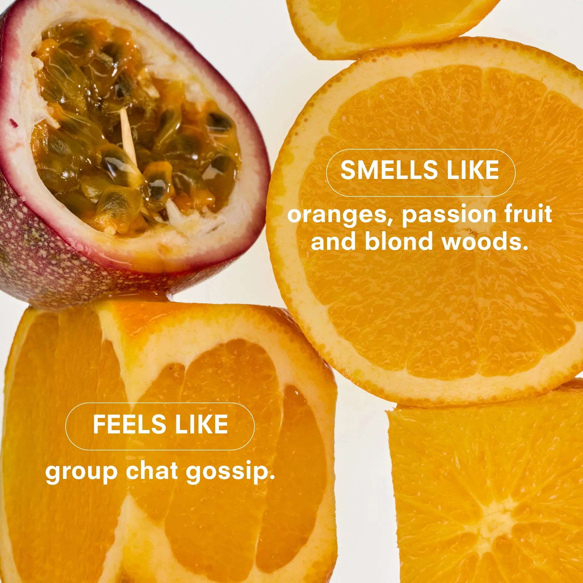 PASSION PIT by BOY SMELLS - Image 3
