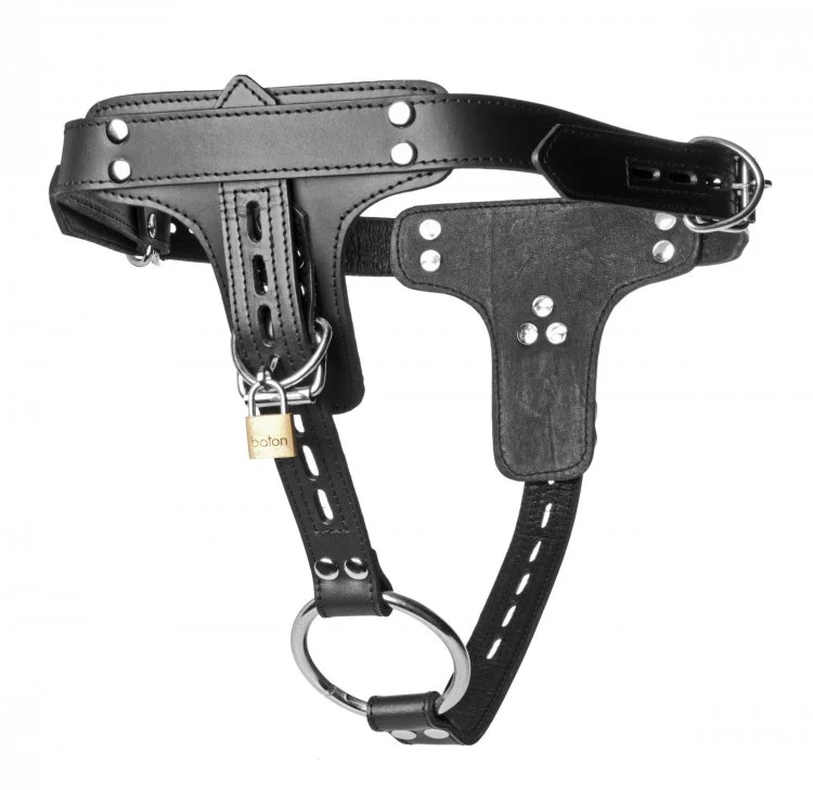 Premium Locking Leather Cock Ring and Anal Plug Harness by Strict Leather - Image 4