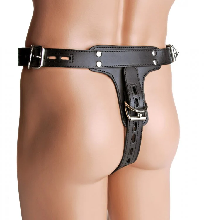 Premium Locking Leather Cock Ring and Anal Plug Harness by Strict Leather - Image 5