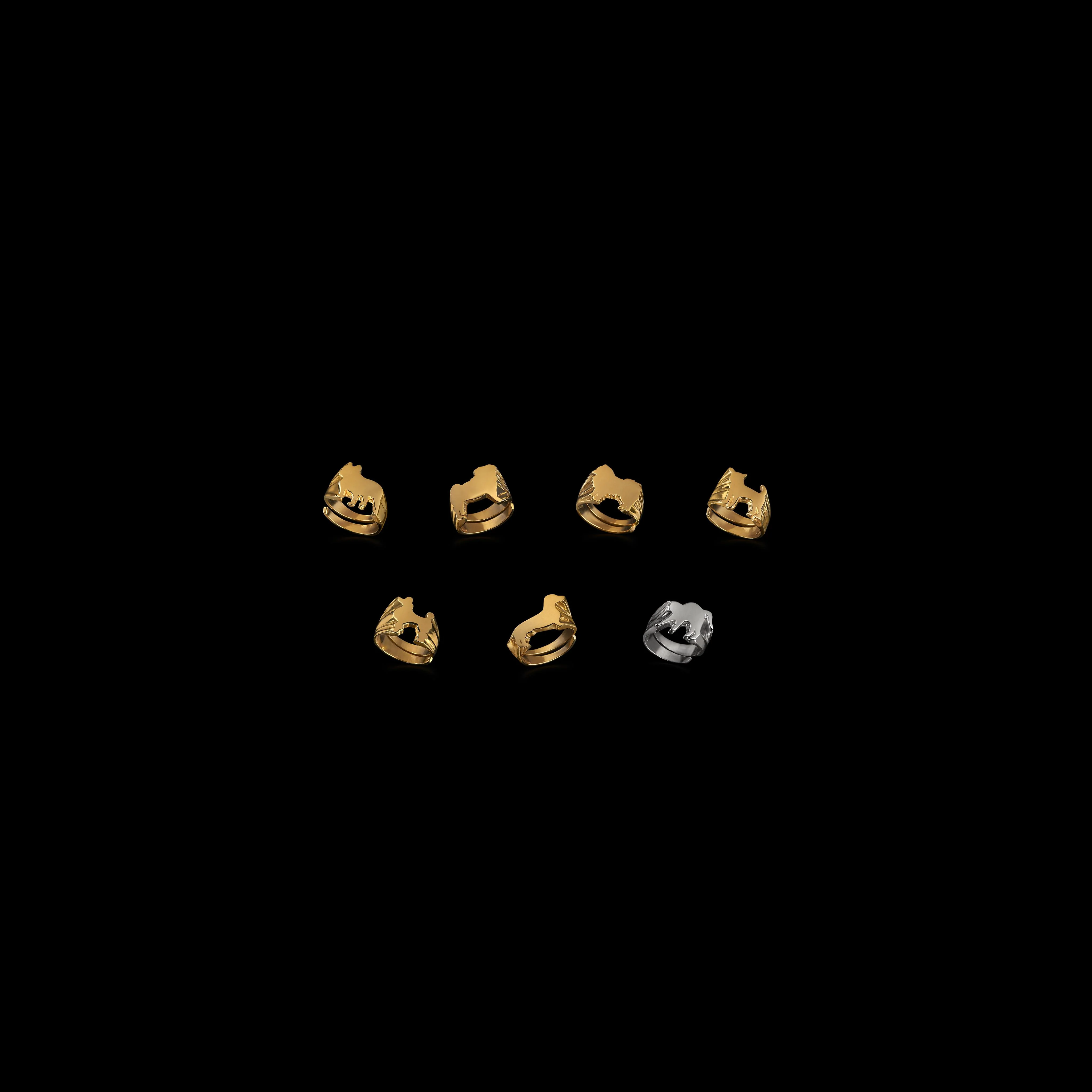 Pug Signet Ring by Jonathan Johnson - Image 6