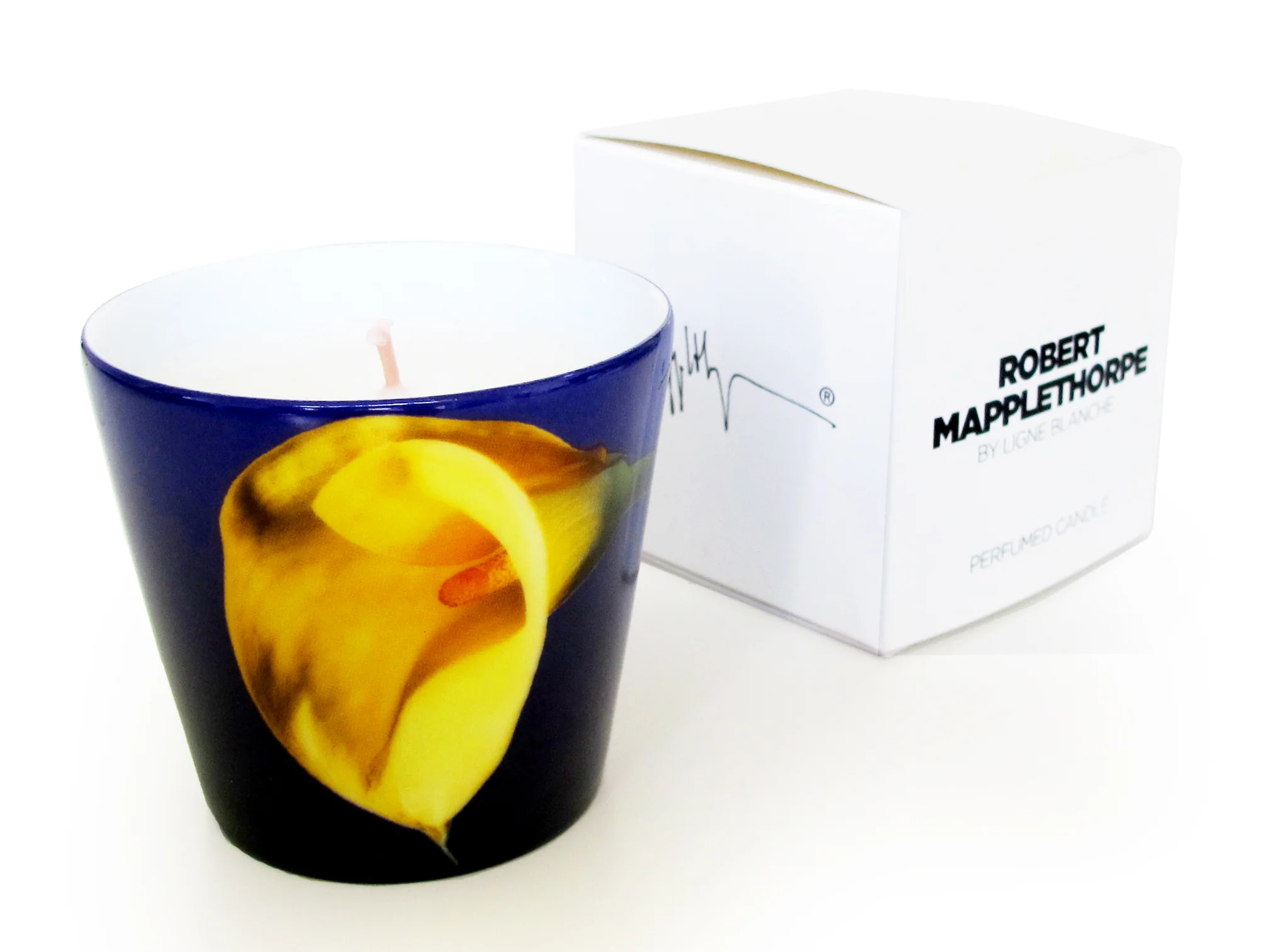 ROBERT MAPPLETHORPE YELLOW CALLA LILY PERFUMED PORCELAIN CANDLE - Image 3