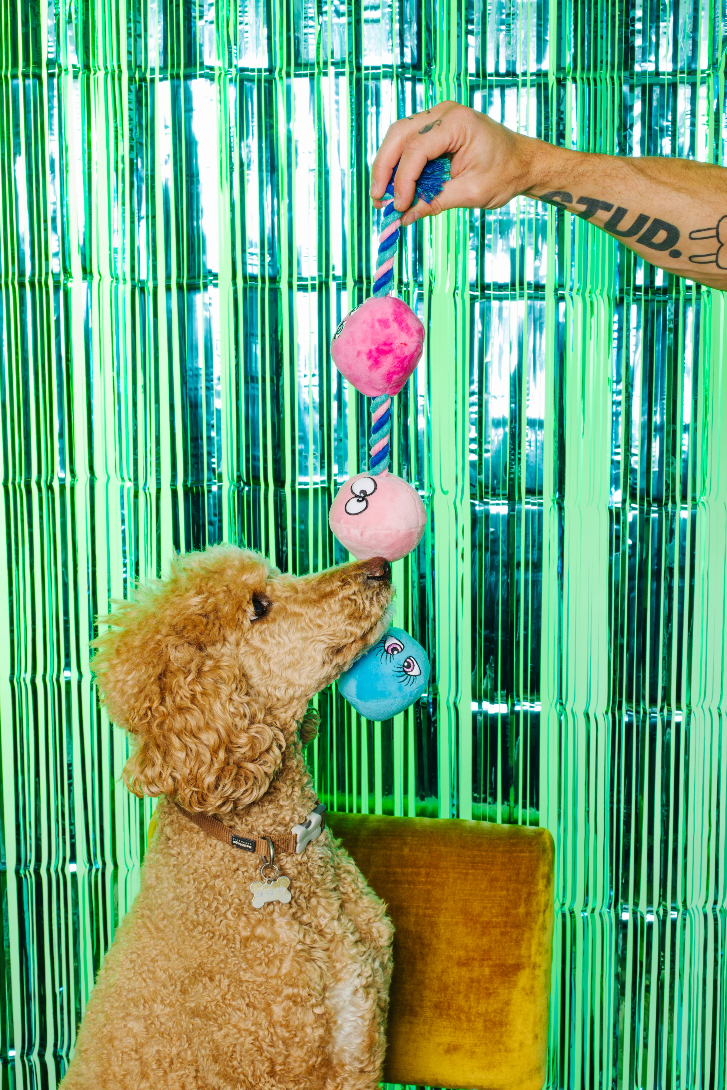 XXX PUPPY TOY: Tug Buttons (Anal Balls) - Image 3
