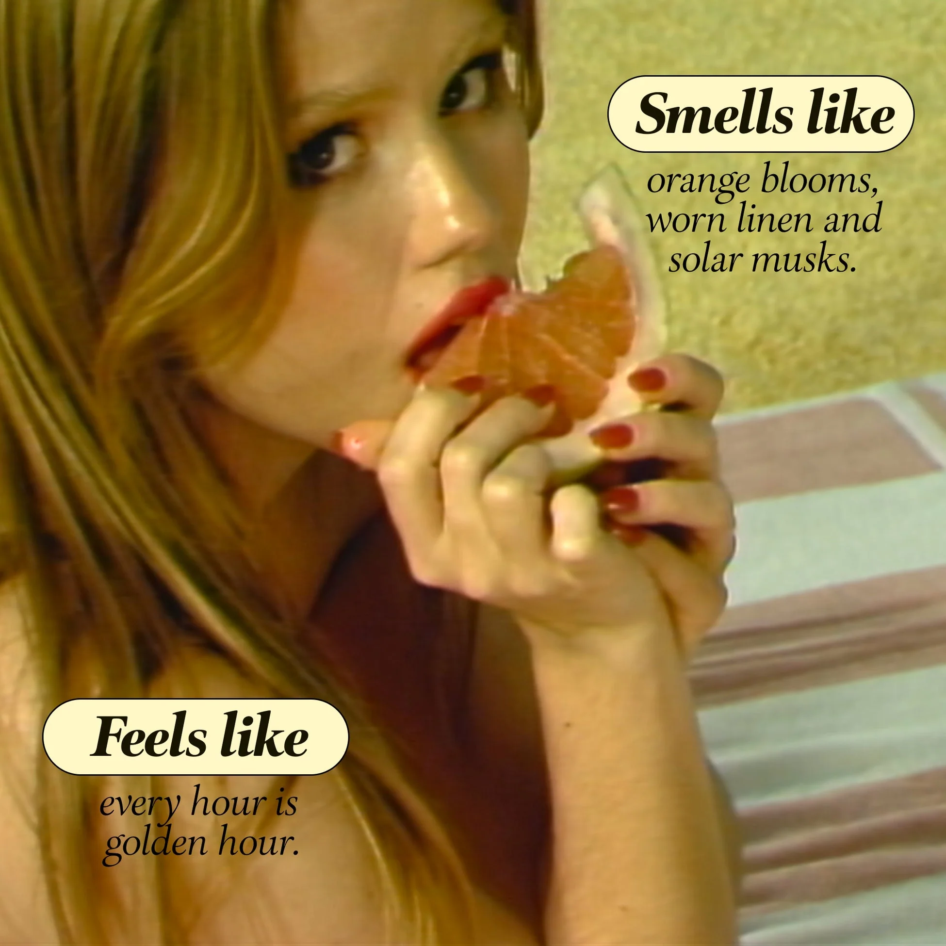 SOLAR DRIP Fragrance by Boy Smells - Image 3
