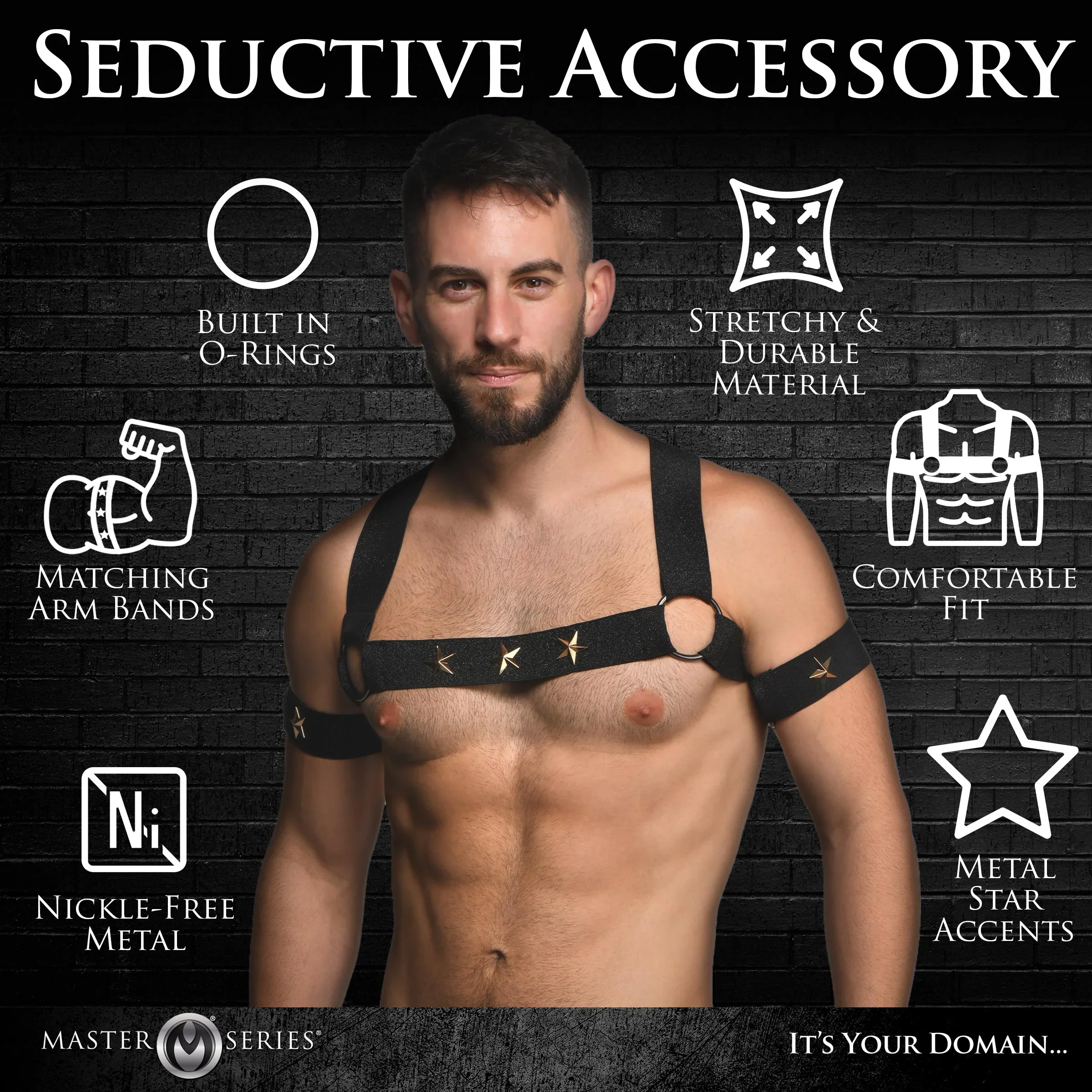 Star Boy Male Chest Harness With Arm Bands - Image 7