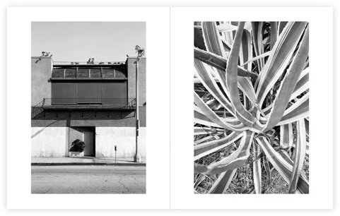 Surface Streets by Daniel Trese - Image 5