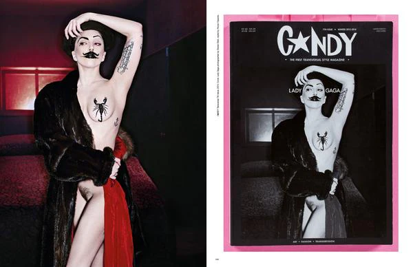 The Candy Book of Transversal Creativity: The Best of Candy Magazine, Allegedly - Image 24