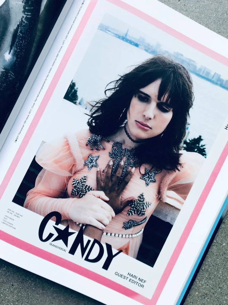 The Candy Book of Transversal Creativity: The Best of Candy Magazine, Allegedly - Image 51