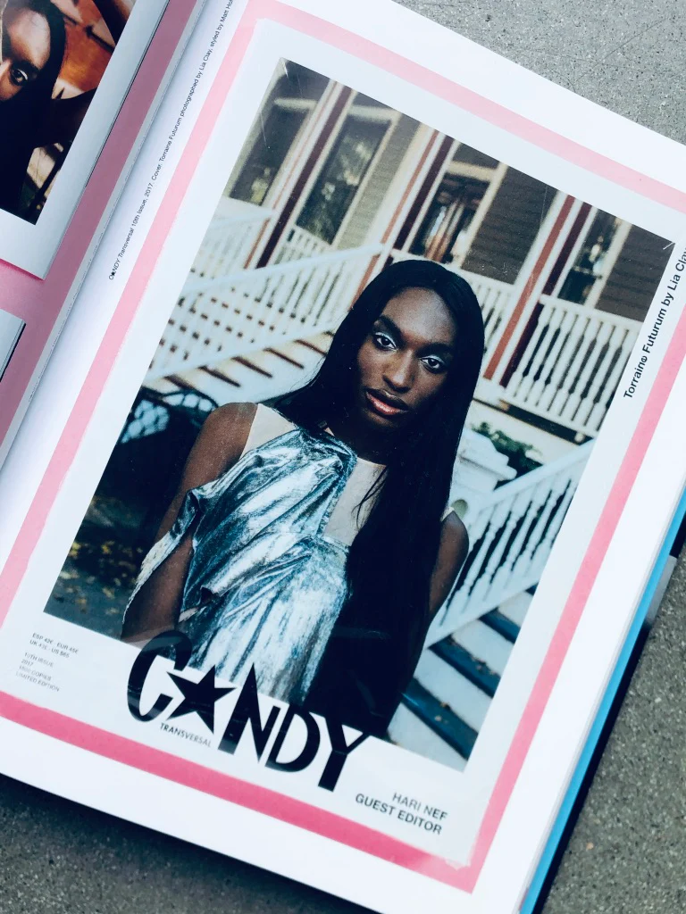 The Candy Book of Transversal Creativity: The Best of Candy Magazine, Allegedly - Image 52