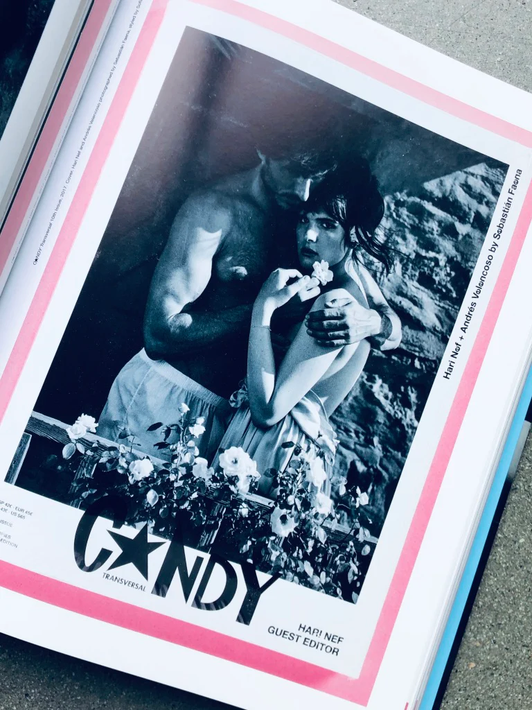 The Candy Book of Transversal Creativity: The Best of Candy Magazine, Allegedly - Image 54