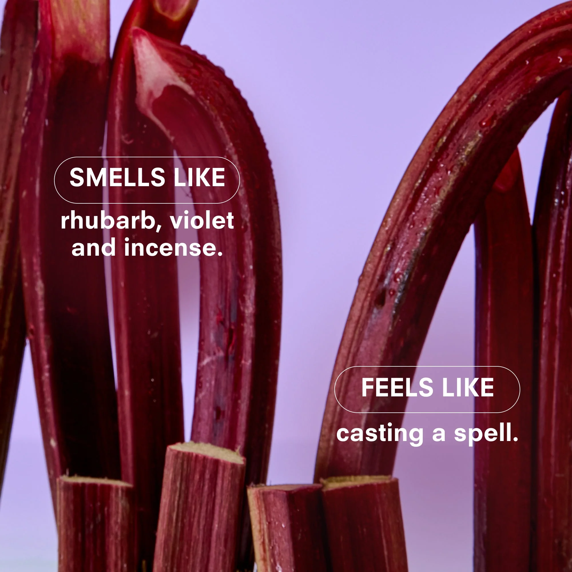 VIOLET ENDS travel spray Fragrance by Boy Smells - Image 4