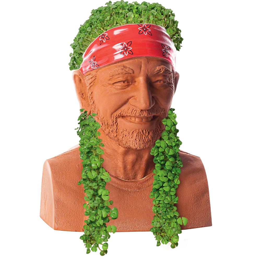 WILLIE NELSON CHIA PET - Image 2